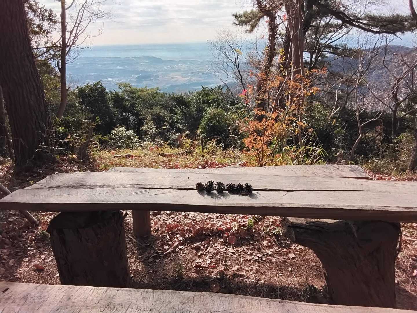 鬼越山山頂（テーブルに松ぼっくりがありました）