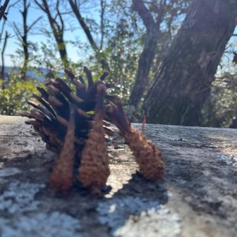 ここでも、
ちっちゃい顔のきよちゃんですが、顔の広さで、知ってる方に会いました。