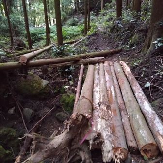 登山道　補修