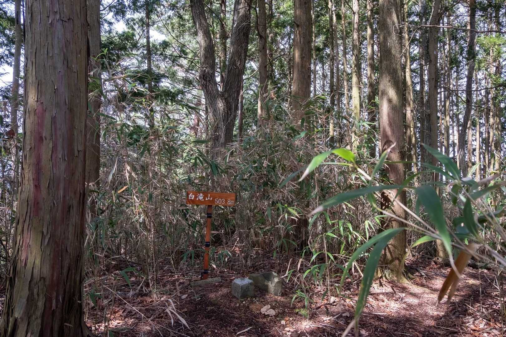 白滝山は展望なし