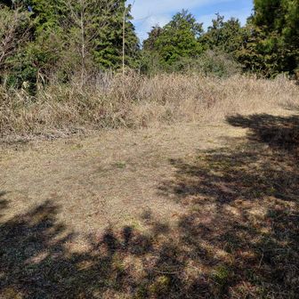 凌雲台の山頂。草は刈られているが、周囲の樹木が伸びて展望が無くなった・・・