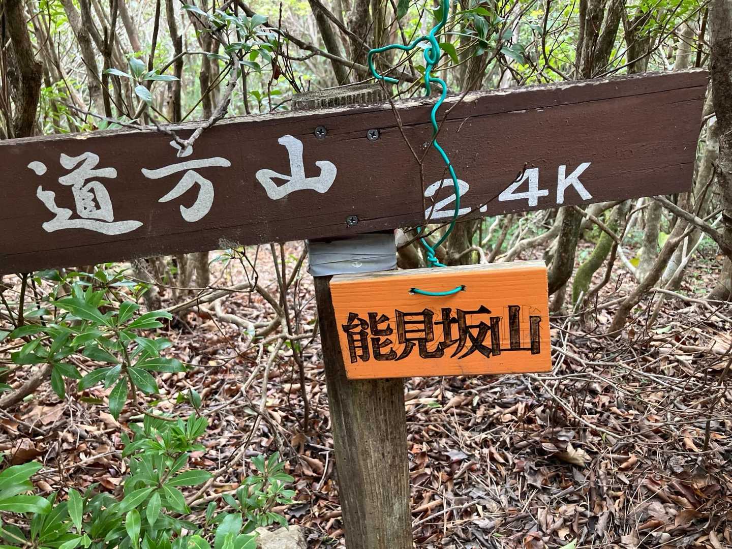 行きには気付かなかった