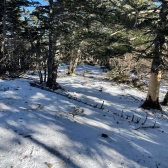 山頂周辺は展望なし