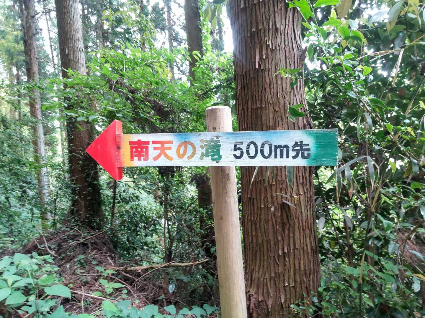 こちらは林道なので歩きやすい道🚶🏻‍♀️
この配色の矢印看板は鬼飛山と同じですね〜🧐
川辺はこれで統一されてるのかな?