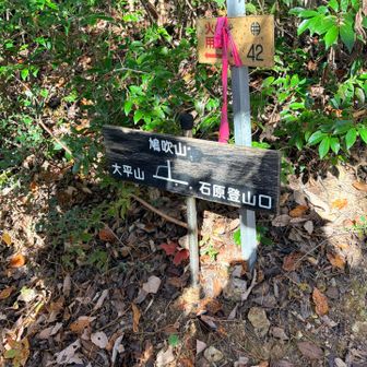 この分岐、鳩吹方面行ったら遠くなるので太平山方面へ