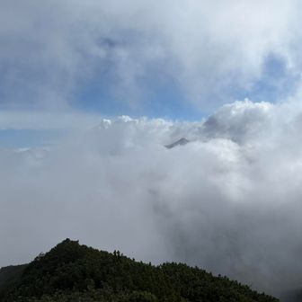 頭だけ十勝岳