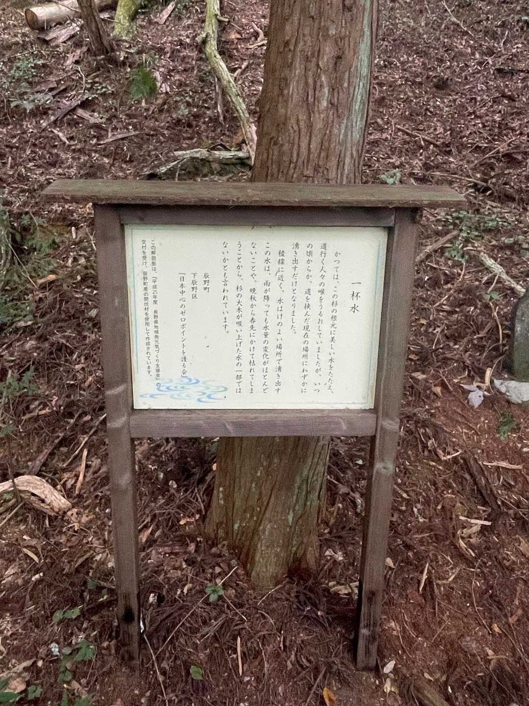 大城山 往復コースの写真
