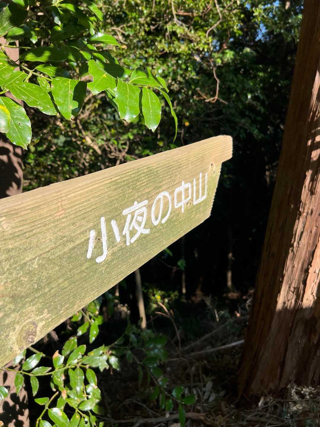 火剣山 往復コースの写真
