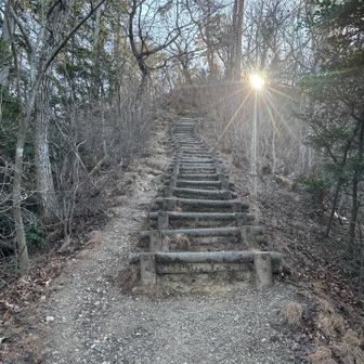 登りは全て急登か、階段🩷