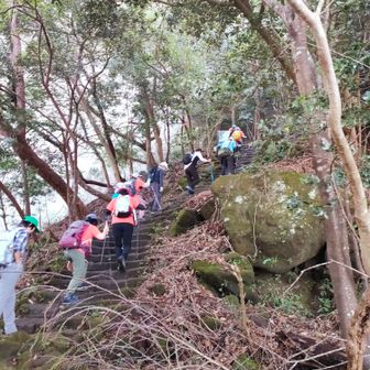 階段も沢山ありました
