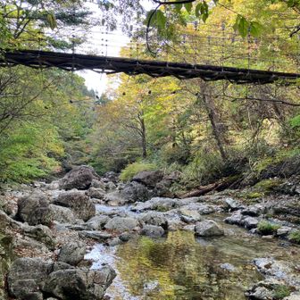 シオカラ谷 急勾配を降りて登り返します、このあたりは登山装備でないとキツそうです