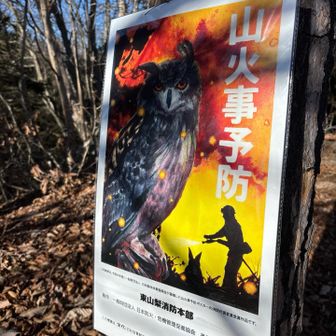 最近だと扇山や堀山の家、桐生などの山火事のニュースが続いています…😔