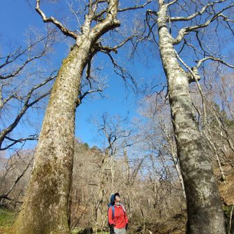 左門岳 ブナトチゲートです。