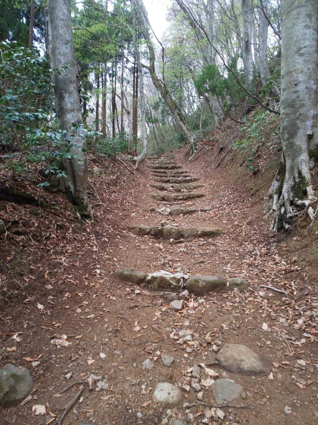 石動山 周回コースの写真
