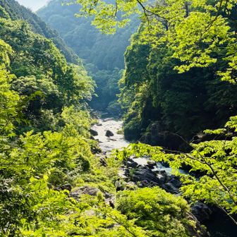マイナスイオンってやつの溜まり場