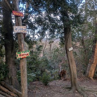 サントリー山。サントリーが山道を整備したから？