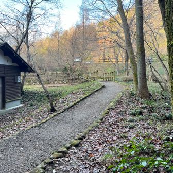 ビションと何か(忘れた)のミックス連れたお姉さんとお話ししながら下りてきた😀
デイジー〜アメ〜ララくん(ビションと何かのミックス)、今日は犬日だった。犬ー大好き😊😊😊