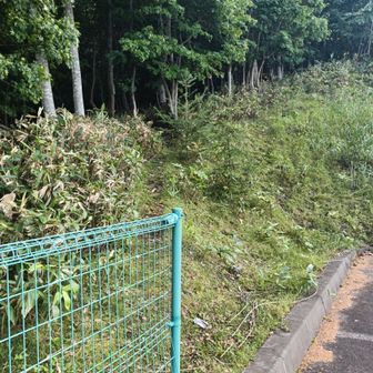 藤野聖山園敷地内の一番奥
ココからスタート
駐車場は誰もいませんでした