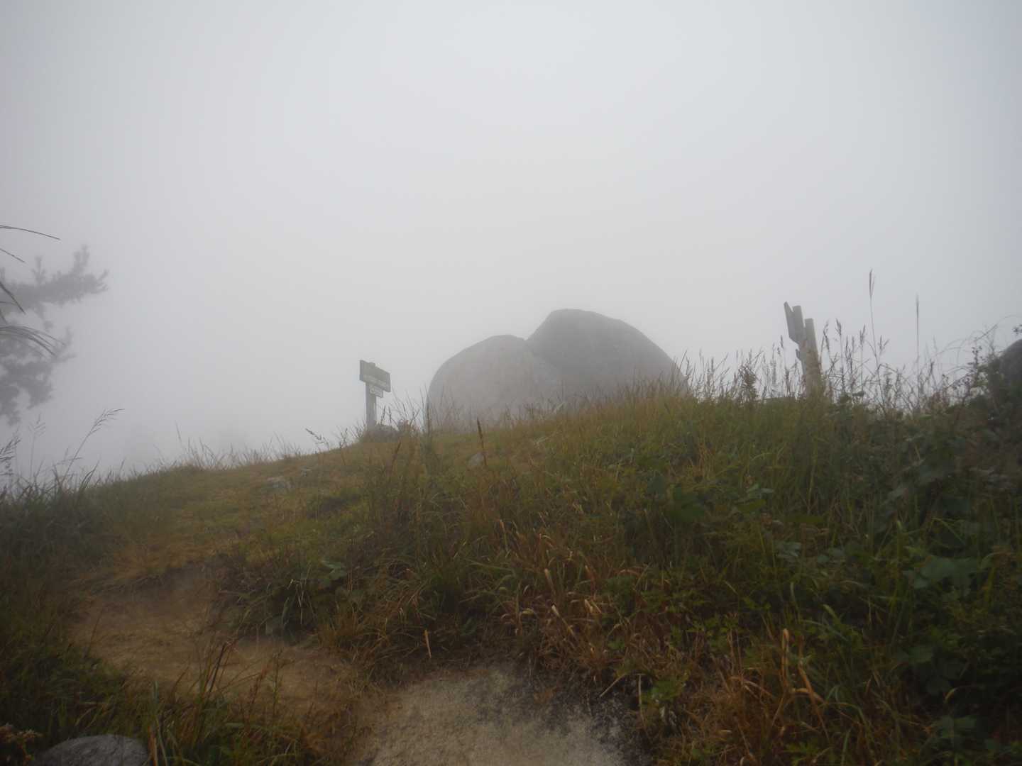 十坊山木札箱へも補充完了し、白木峠へ下山します