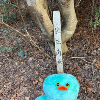 看板………金剛童子