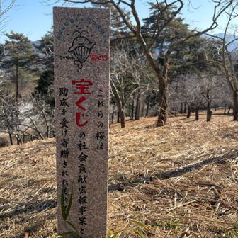 ピンクテープも踏み跡もないけど、ここを右に登って行きます