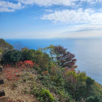 癒されますね～🤭
コーヒー☕😃☀️
いかがでしょう？