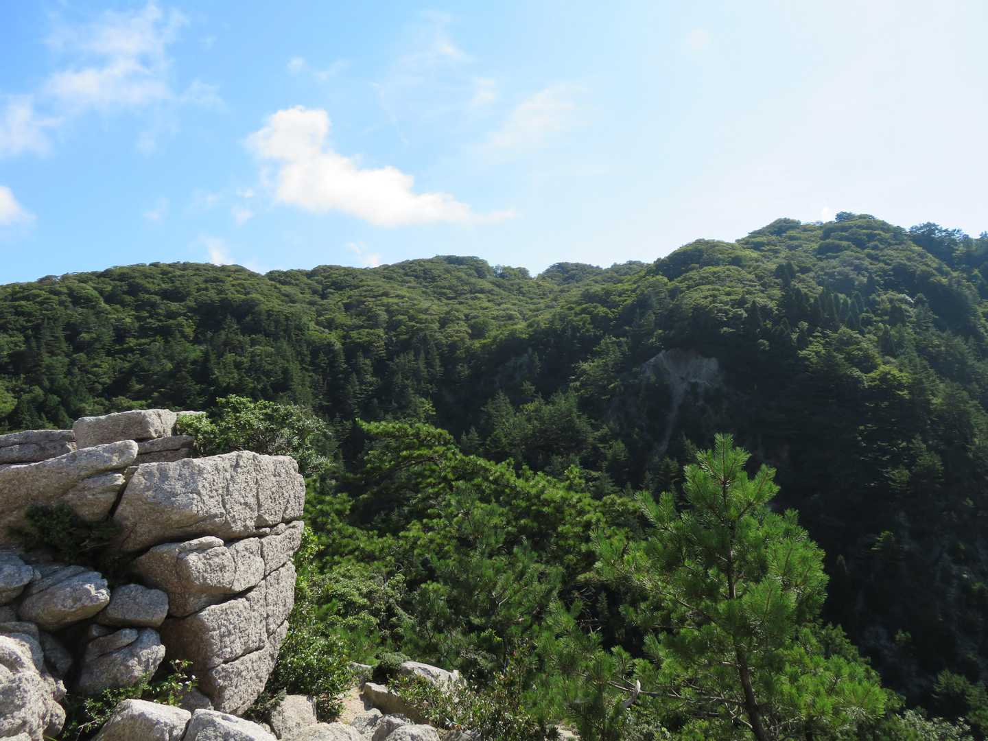 朝明登山口-羽鳥峰 往復コースの写真