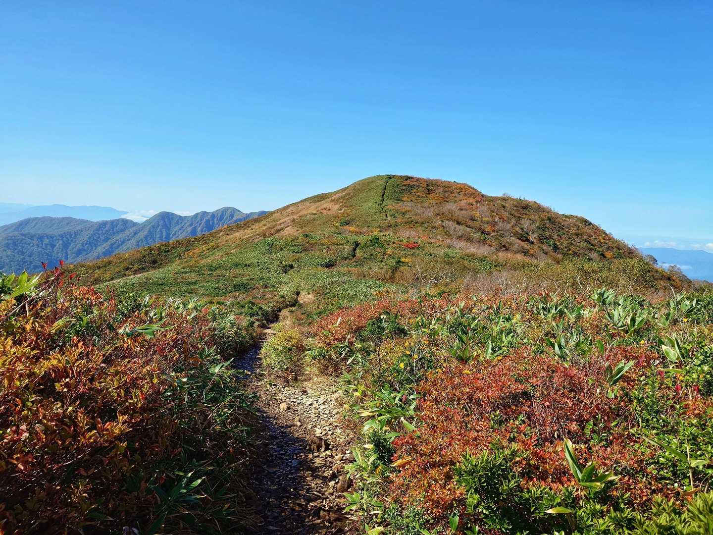 赤兎山登り返してピストンです