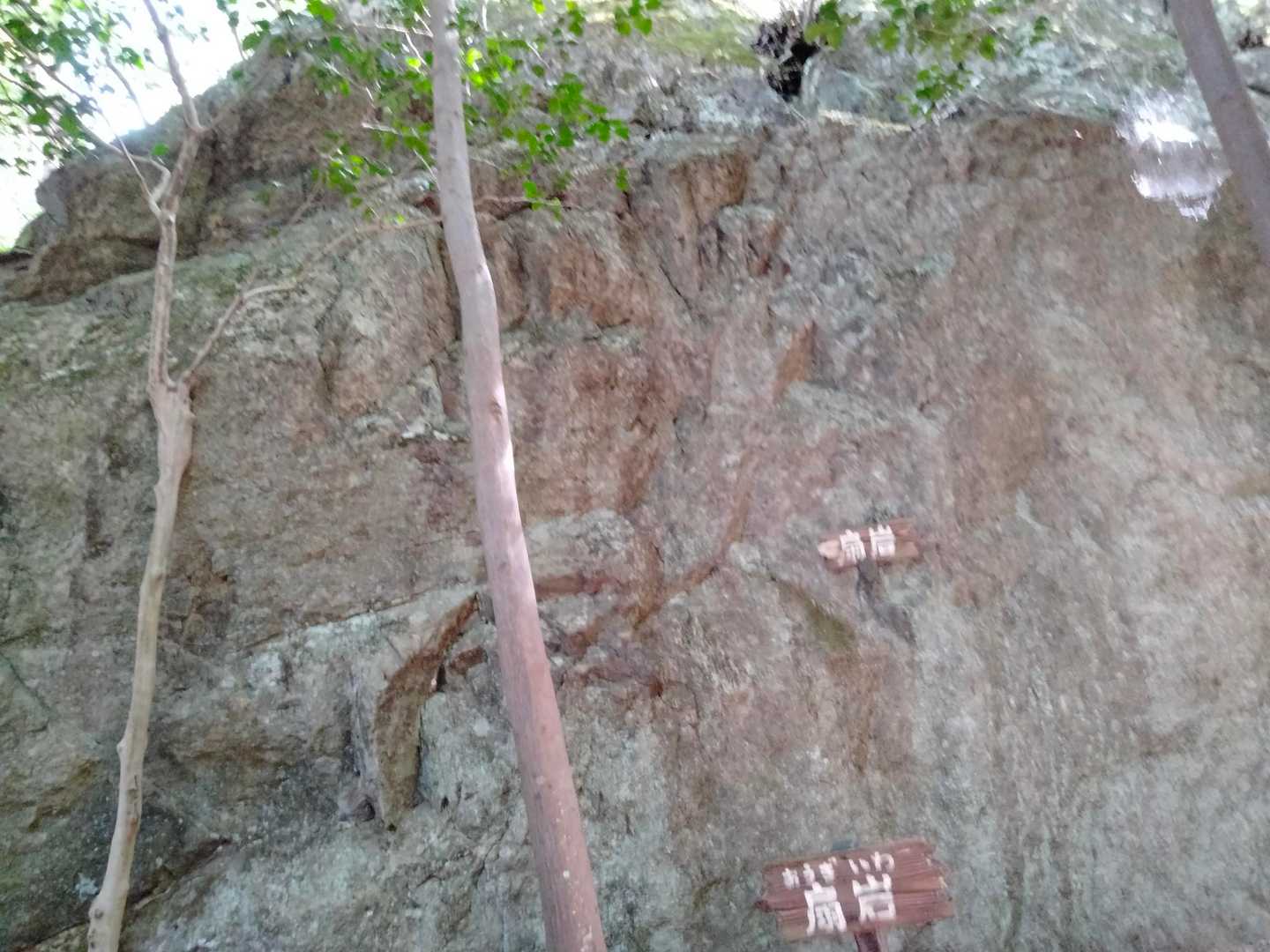 かなり大きな岩なんです。