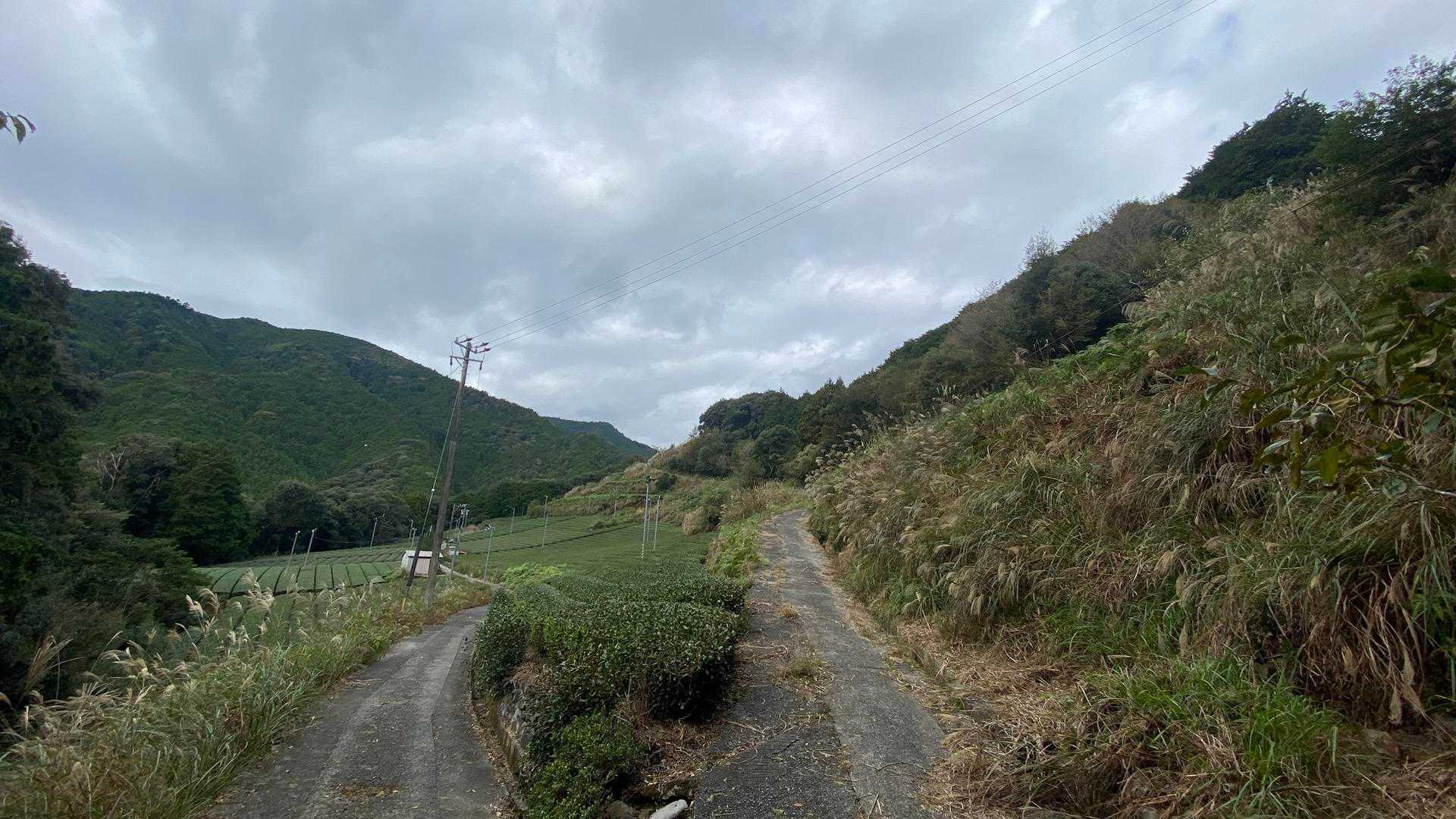 抜里駅 往復コースの写真