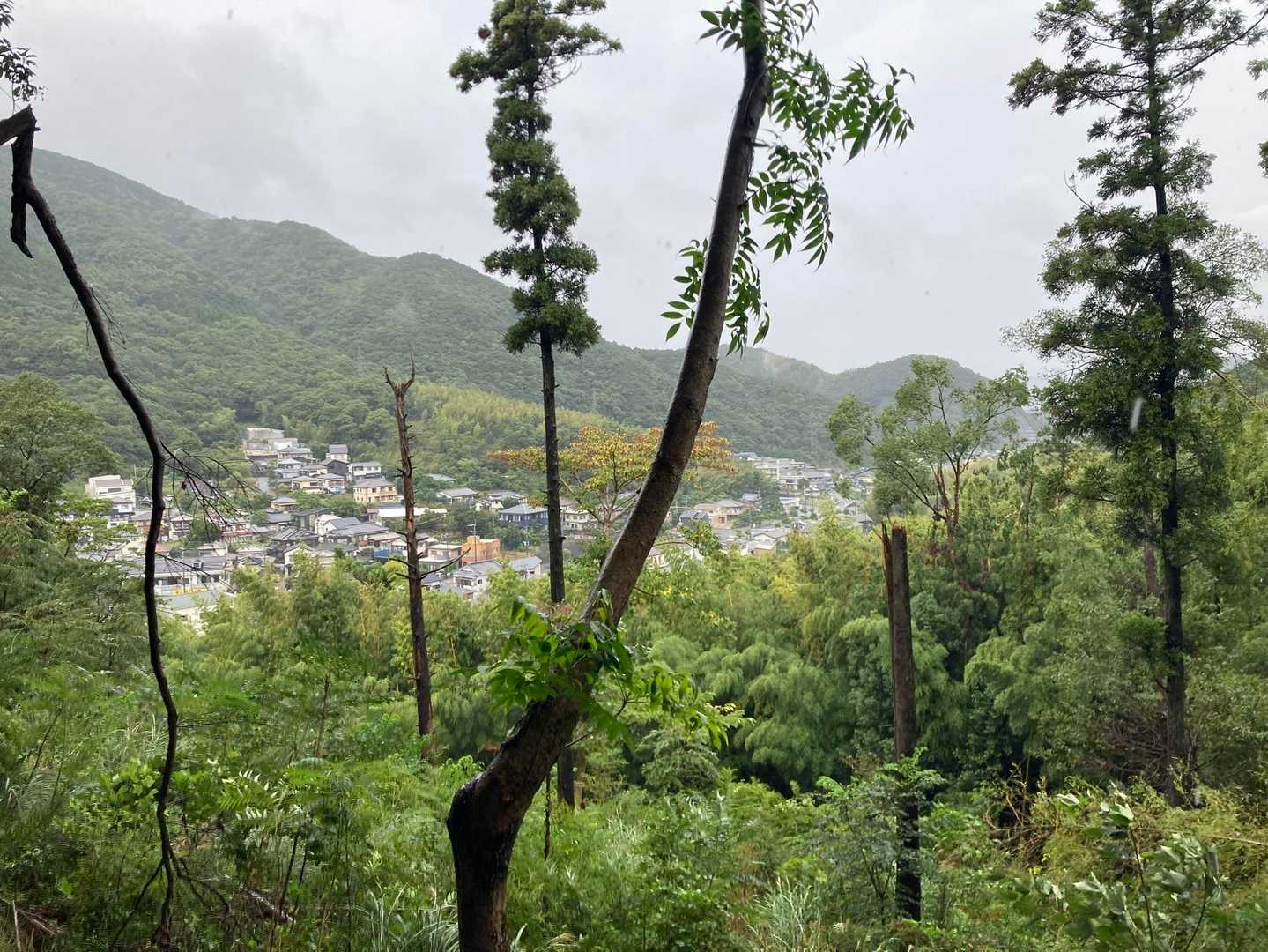 ほぼ下山してから唯一見えた景色です😆