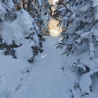 直登気味の道😱