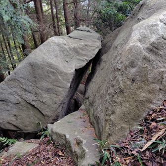 僕は通り抜けたよ❣