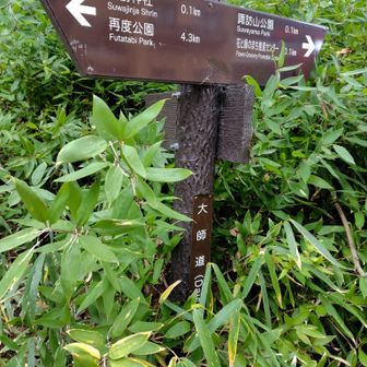 諏訪神社わきを登っていきます