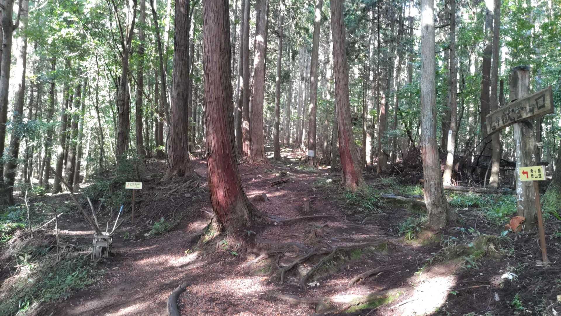 今日は新しいせせらぎコースから登ります🎵