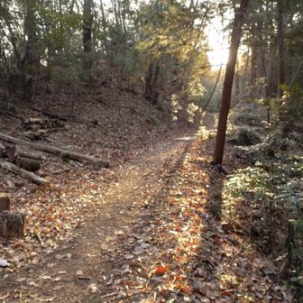 登山口まであと少し。近くの工場から、始業前のラジオ体操が聞こえてきました。
