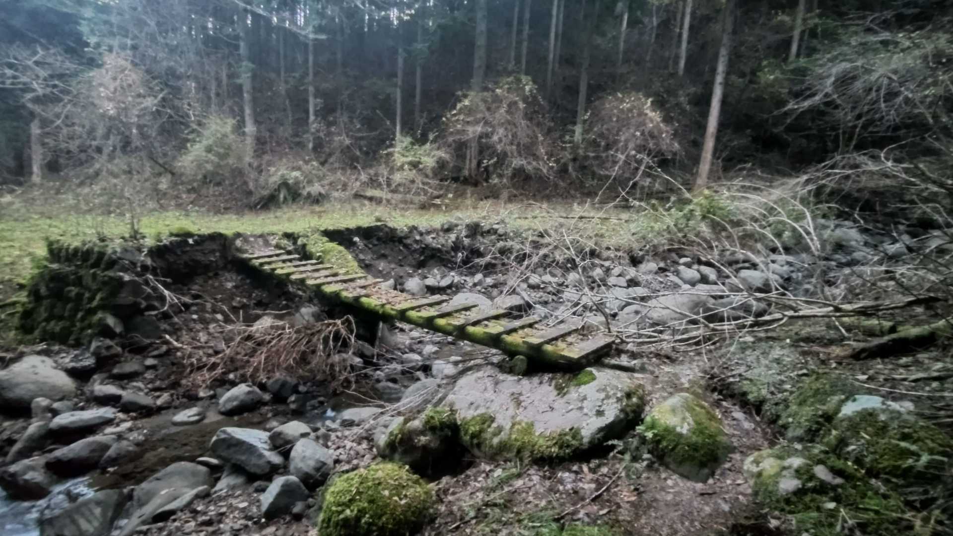 樽峠登山口-樽峠-高ドッキョウ 往復コースの写真