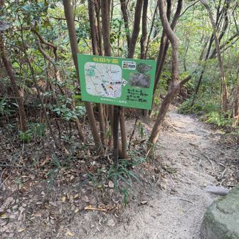 塔之岡からの合流点