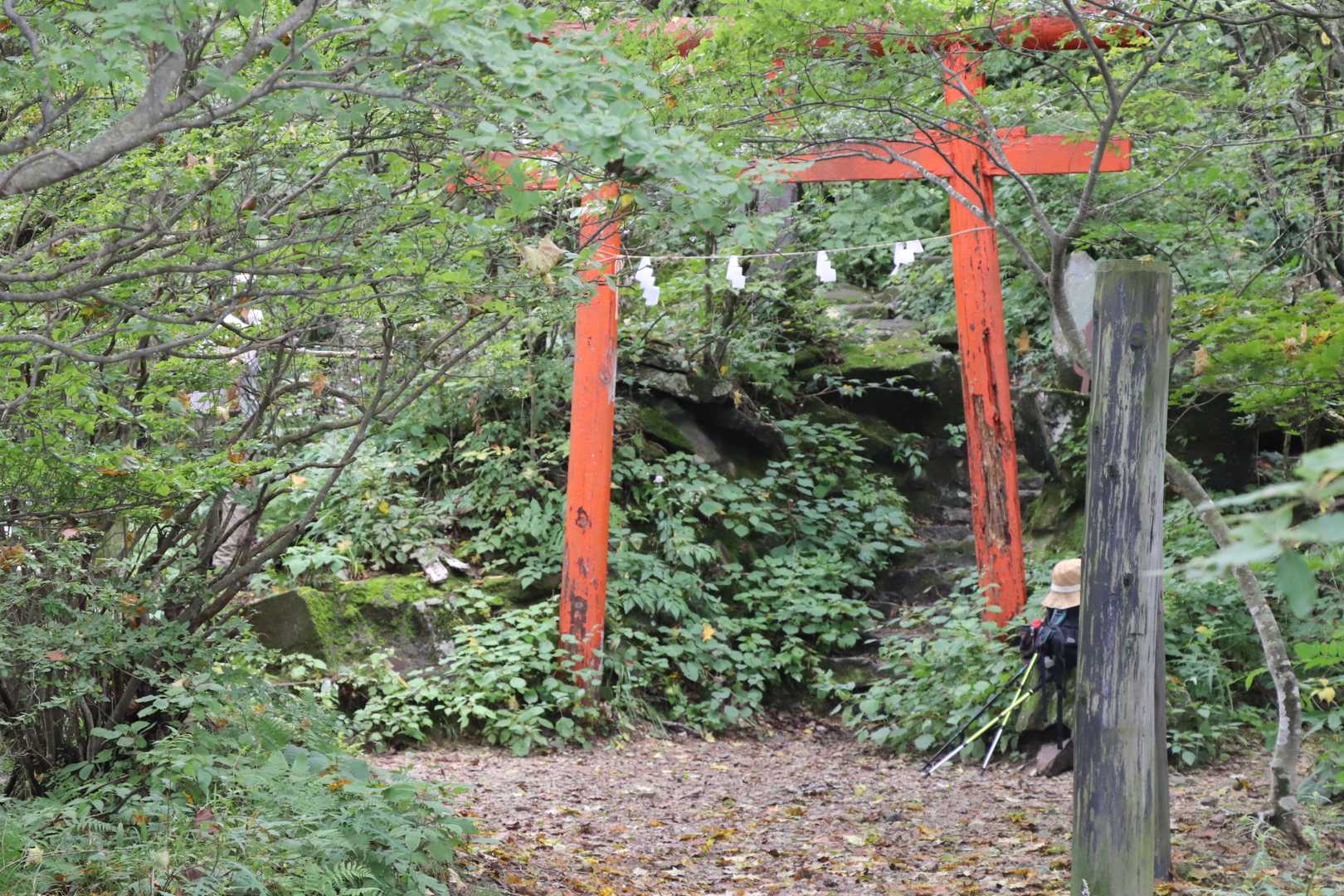 鳥居⛩
先行者がいるので座って待つことにしよう