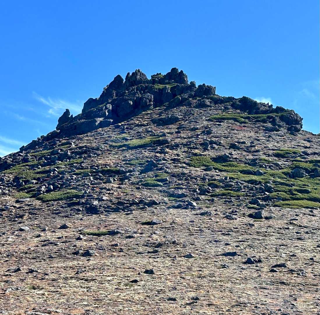 振り返って
鋸岳🪚⛰️
ピークまで登れそうでしたが植生痛めそうなので登ってません🫡