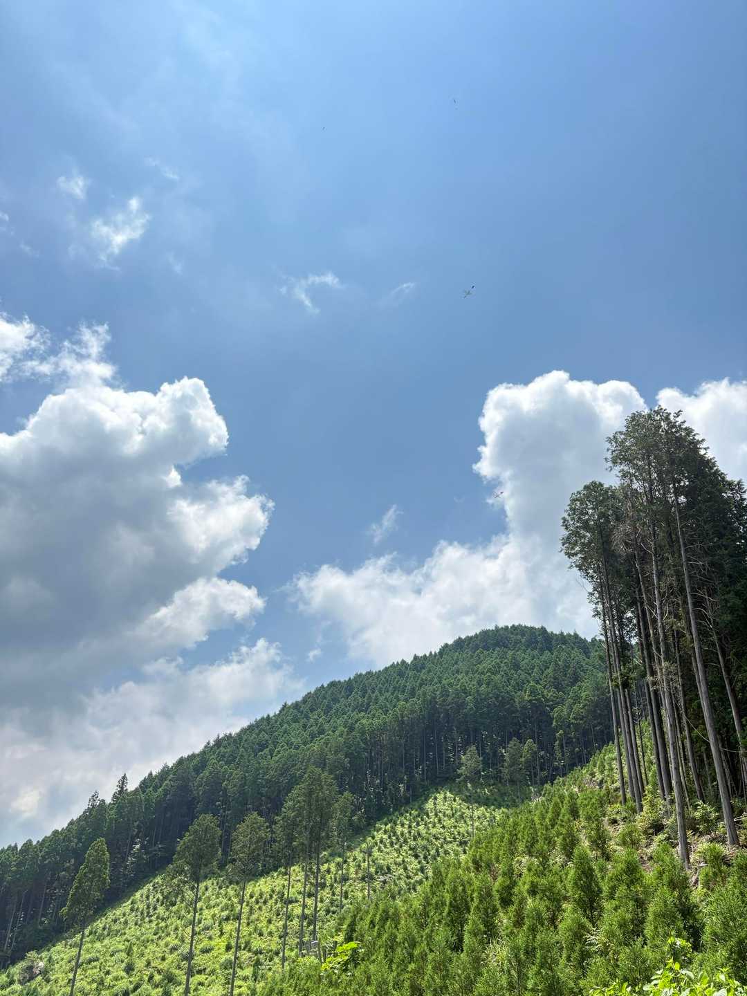 日の当たる場所はホント暑い🥵

