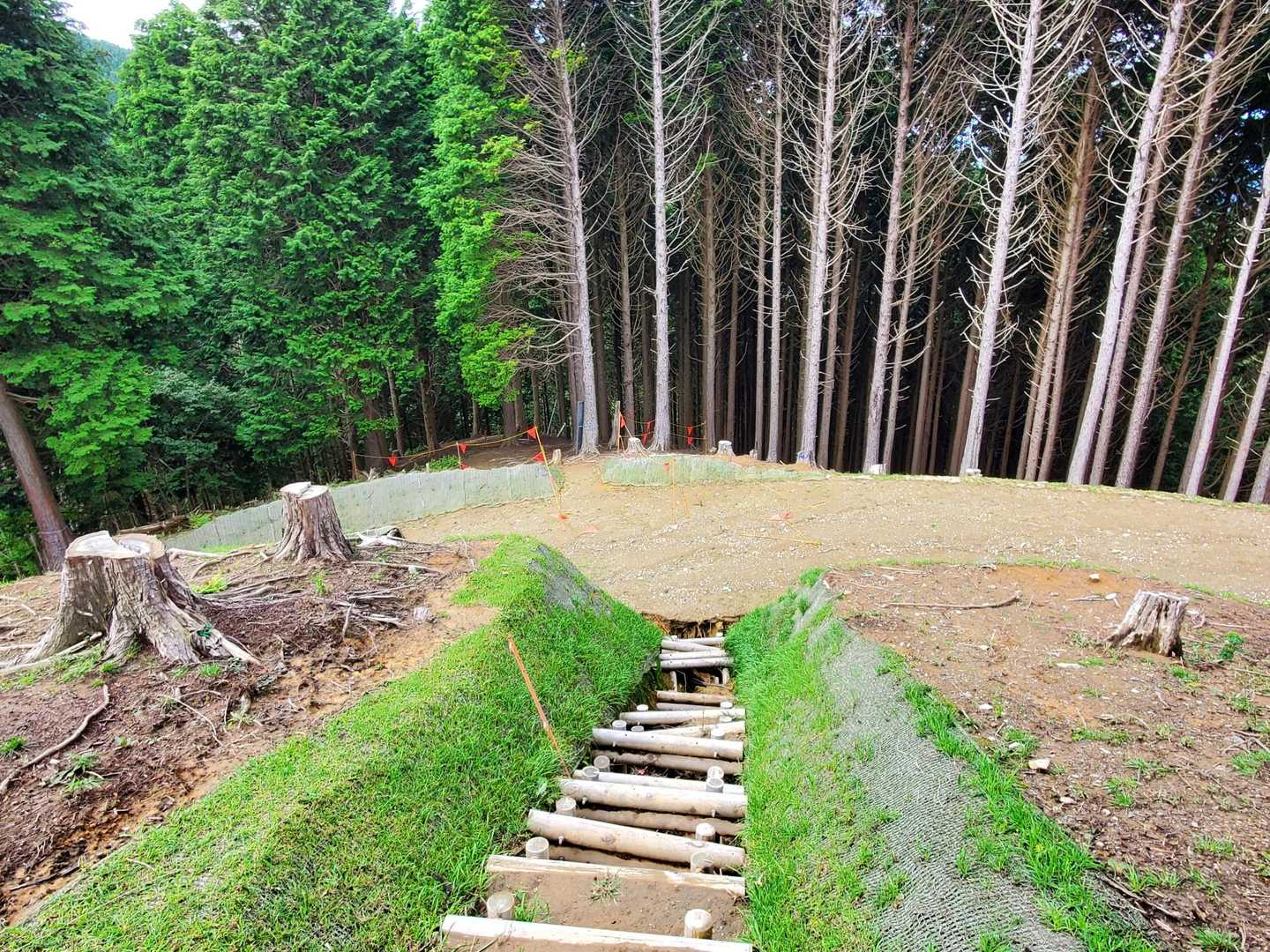 降りるのは登るより恐い💦

キッコウハグマは見つけられませんでした😭
とても小さなお花の様で、私の目では無理やな🤣