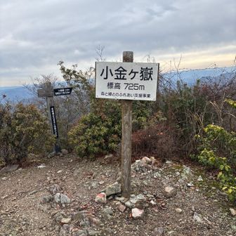 小金ケ嶽山頂😄
やったー❣️