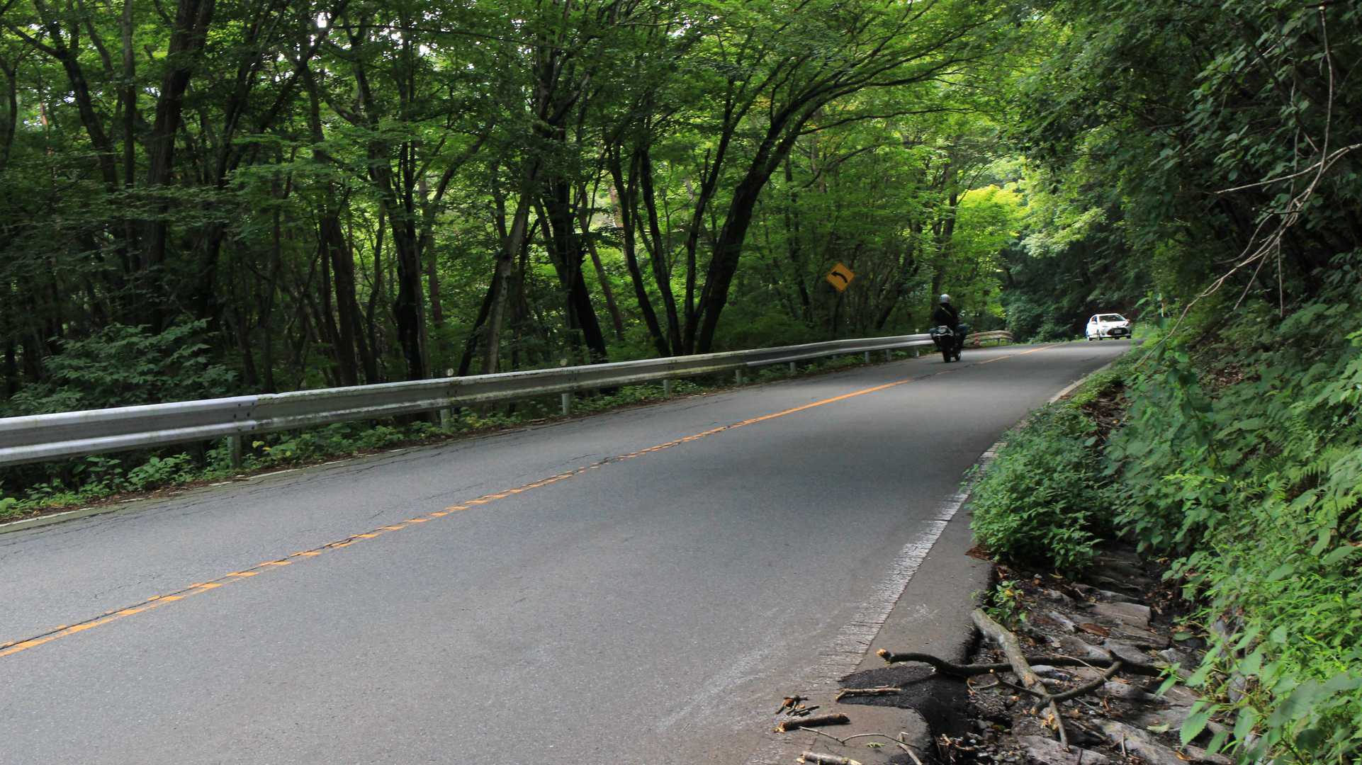 道路が見えたら、心が折れました😔
🪰🕸️🦟🐝に完敗です