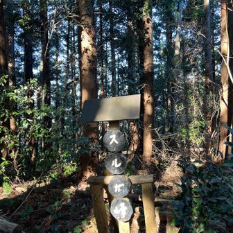 ここまではいいペース