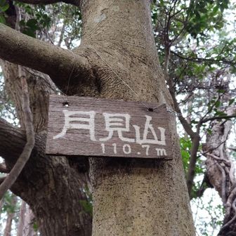 帰りの長〜いロード歩きの途中で、道を逸れて15分程登ったらもう1座取れるみたいなんで、予定にはなかったけどここも登ってきた。もう脚がパンパン。😅