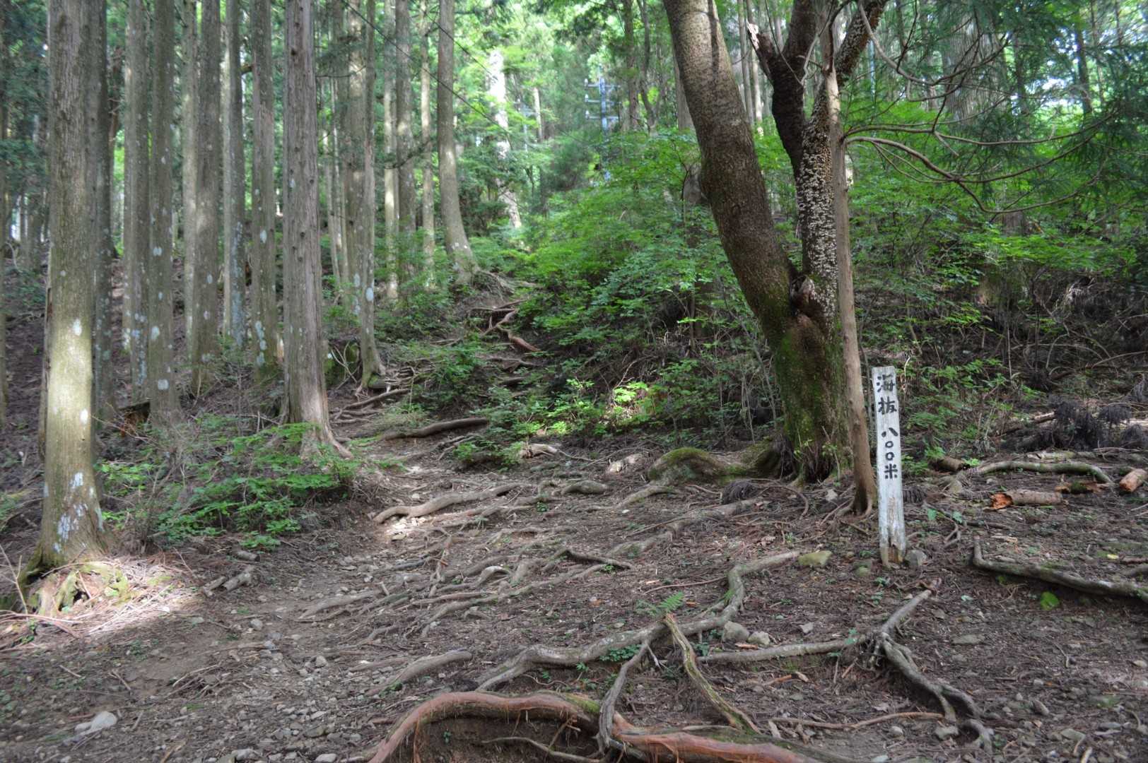 ババ平テント場です🏕️
