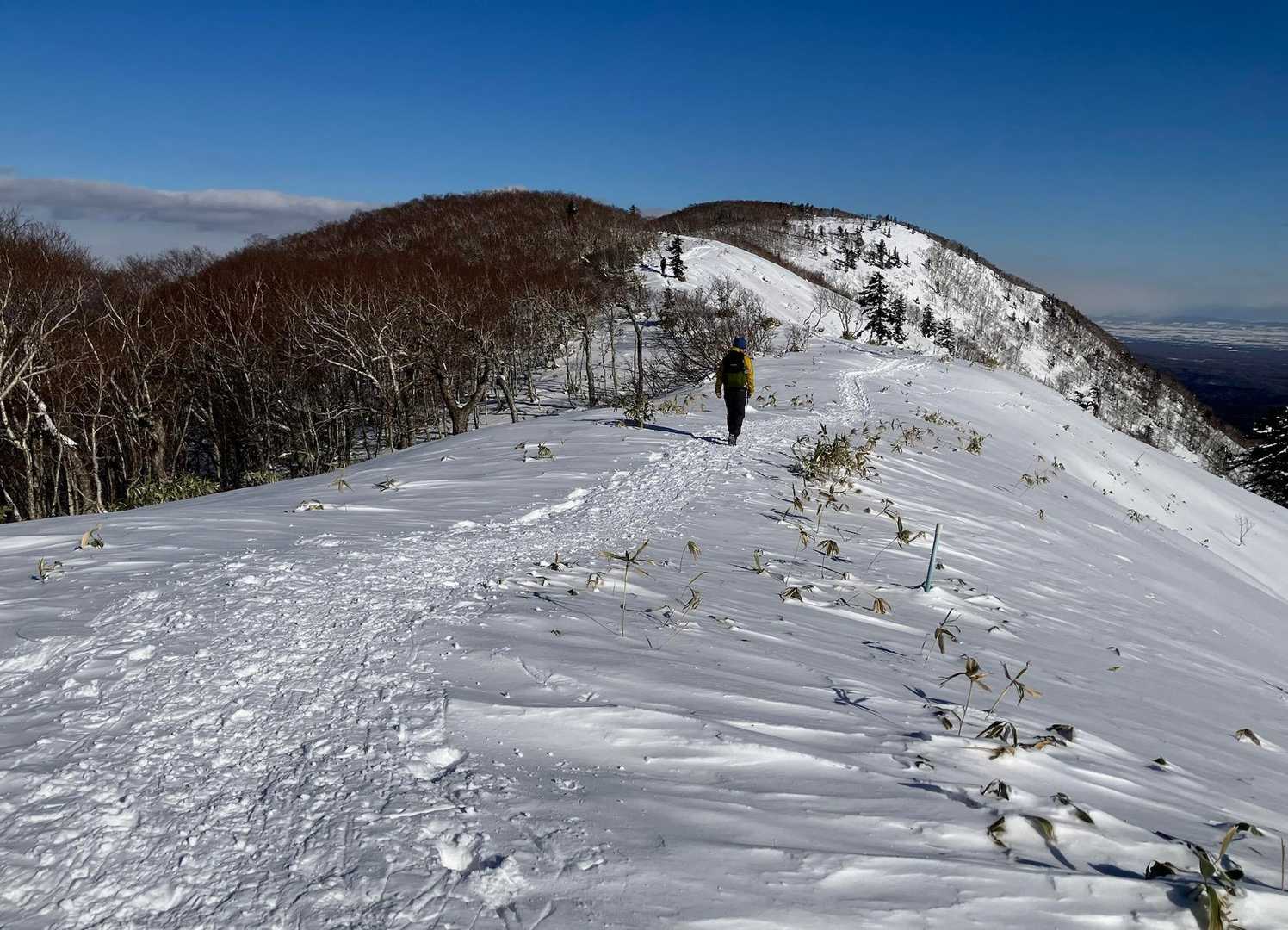 ニセピークから頂上へ向けての尾根道は固くしまっている。風が弱く、日差しが温かく感じる。