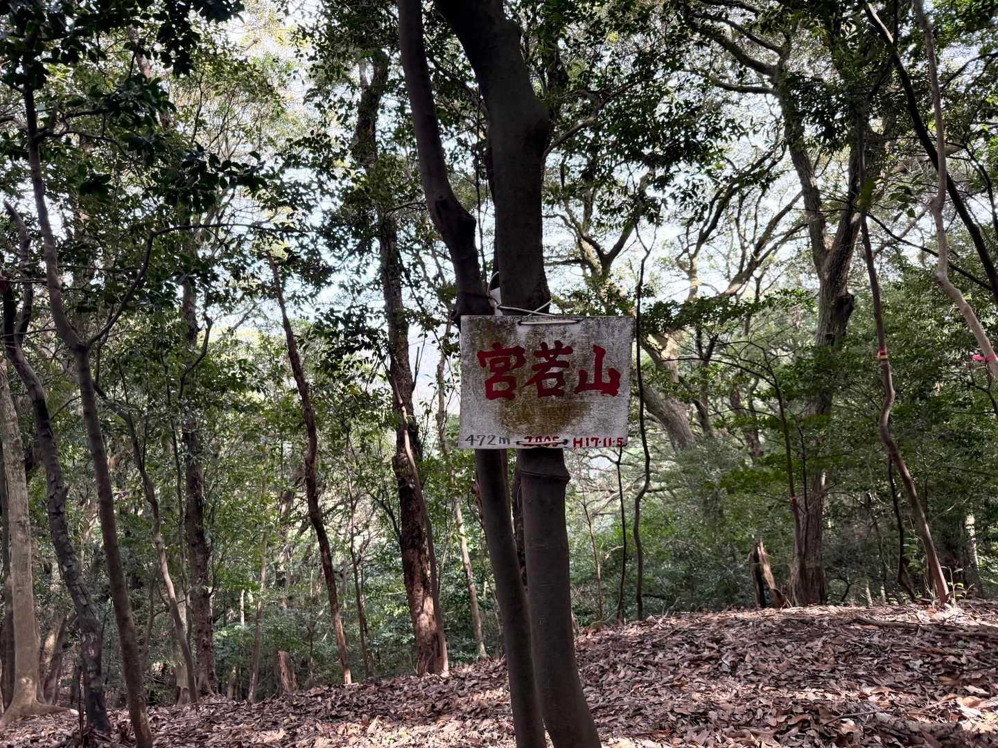 宮若山  ⚑⚐゛