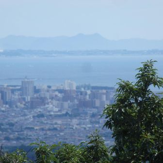 権現山付近から房総の富山も見えた